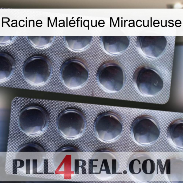 Racine Maléfique Miraculeuse 31